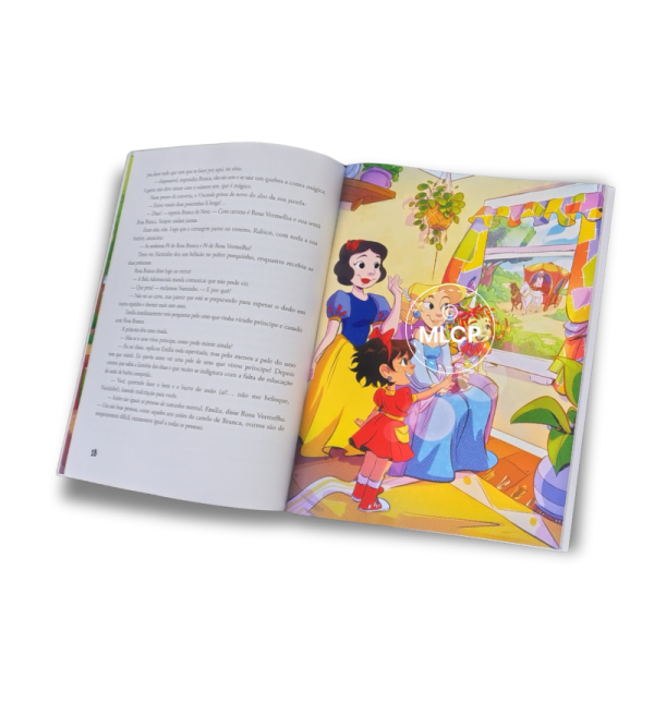 Cara de Coruja - Reinações de Narizinho - Livro 5